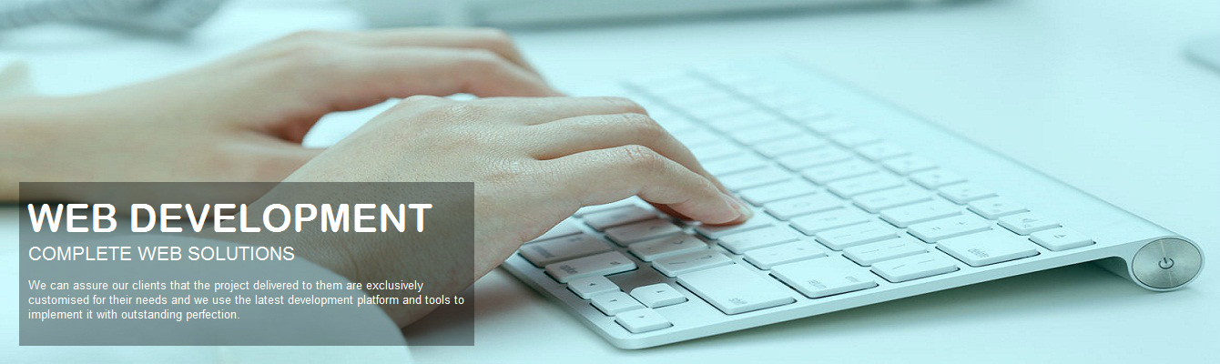 banner-web-development